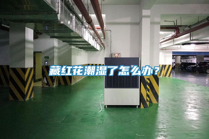 藏红花潮湿了怎么办？