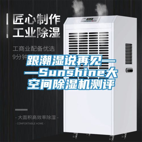 跟潮湿说再见——Sunshine大空间MR.好色破解版测评