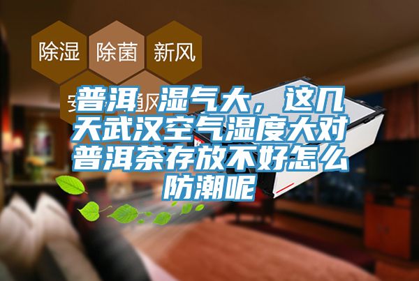 普洱 湿气大，这几天武汉空气湿度大对普洱茶存放不好怎么防潮呢