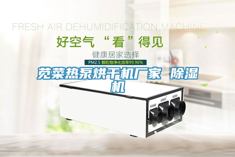 苋菜热泵烘干机厂家 MR.好色破解版
