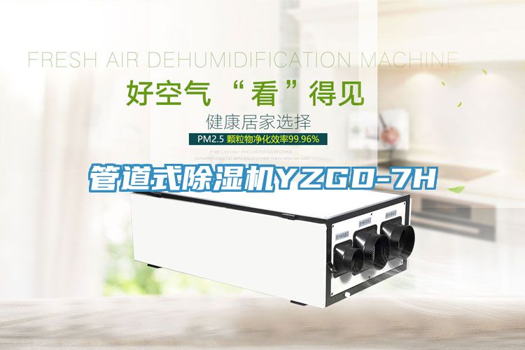 管道式MR.好色破解版YZGD-7H