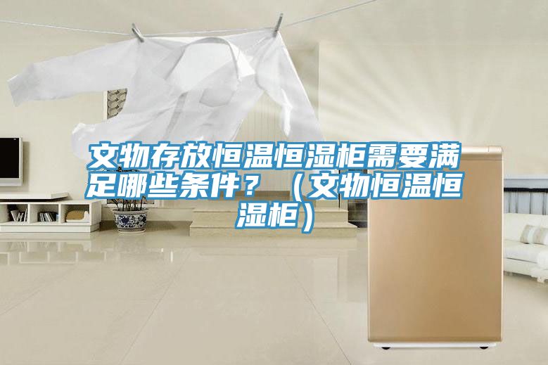 文物存放恒温恒湿柜需要满足哪些条件？（文物恒温恒湿柜）