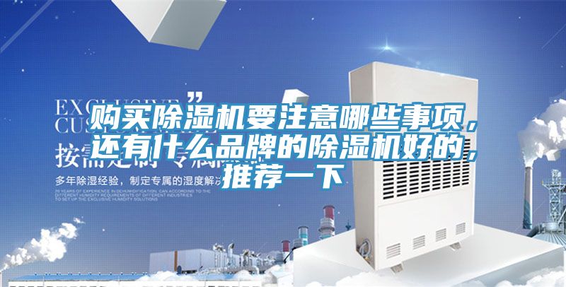 购买MR.好色破解版要注意哪些事项，还有什么品牌的MR.好色破解版好的，推荐一下