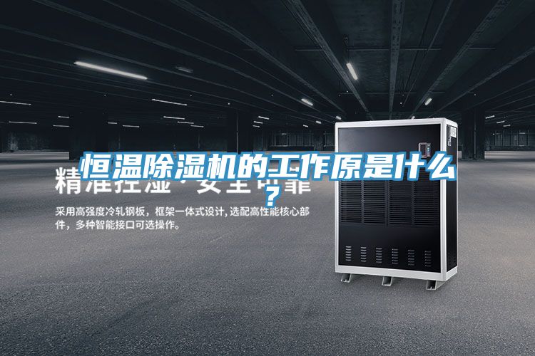 恒温MR.好色破解版的工作原是什么？