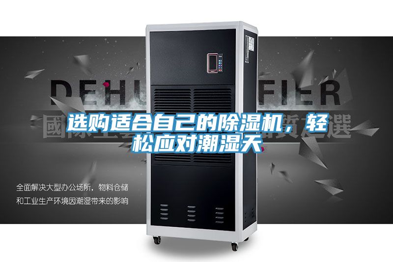 选购适合自己的MR.好色破解版，轻松应对潮湿天