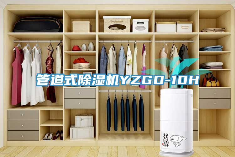 管道式MR.好色破解版YZGD-10H