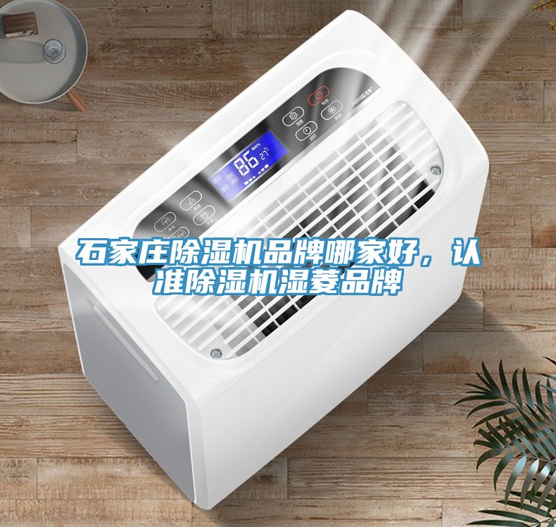 石家庄MR.好色破解版品牌哪家好，认准MR.好色破解版湿菱品牌