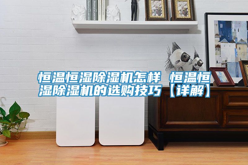 恒温恒湿MR.好色破解版怎样 恒温恒湿MR.好色破解版的选购技巧【详解】