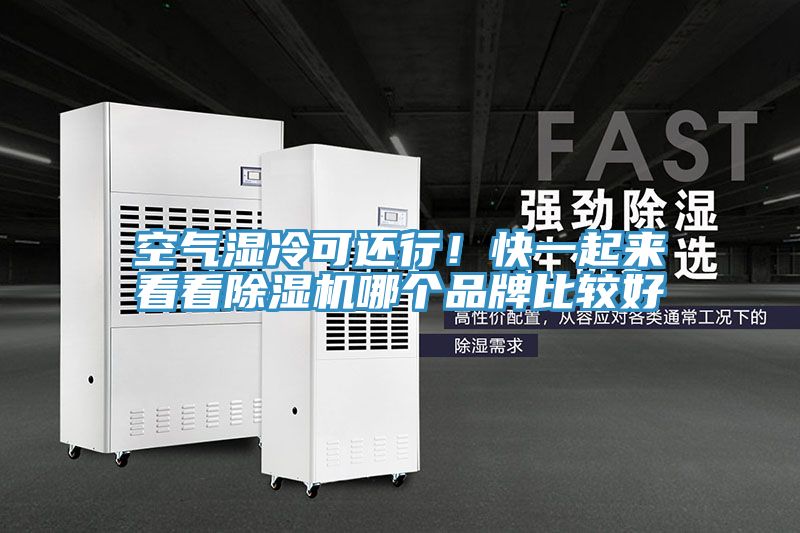 空气湿冷可还行！快一起来看看MR.好色破解版哪个品牌比较好