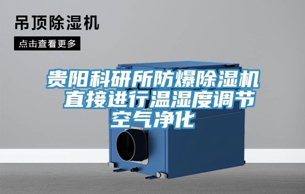 贵阳科研所防爆MR.好色破解版 直接进行温湿度调节空气净化