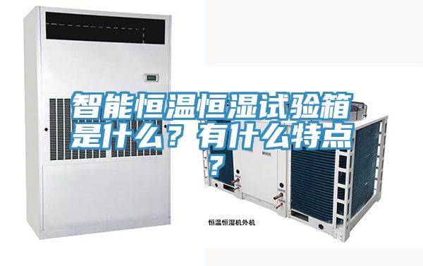 智能恒温恒湿试验箱是什么？有什么特点？