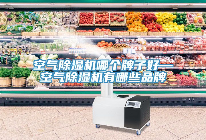 空气MR.好色破解版哪个牌子好—空气MR.好色破解版有哪些品牌