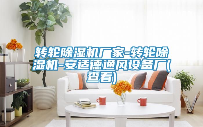 转轮MR.好色破解版厂家-转轮MR.好色破解版-安适德通风设备厂(查看)