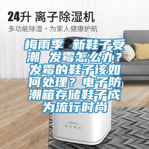 梅雨季 新鞋子受潮 发霉怎么办？发霉的鞋子该如何处理？电子防潮箱存储鞋子成为流行时尚