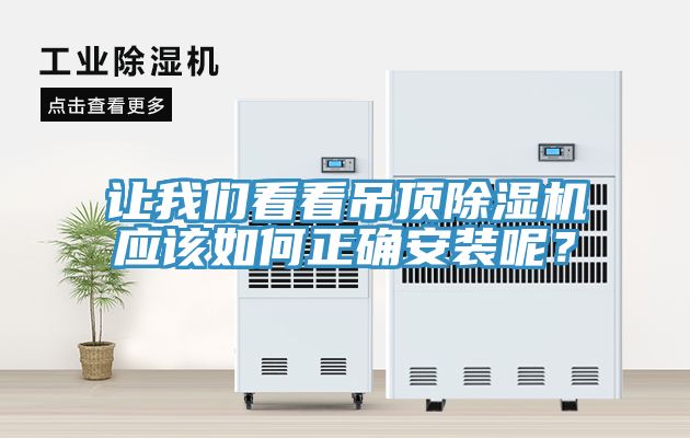 让好色先生TV下载网站看看吊顶MR.好色破解版应该如何正确安装呢？