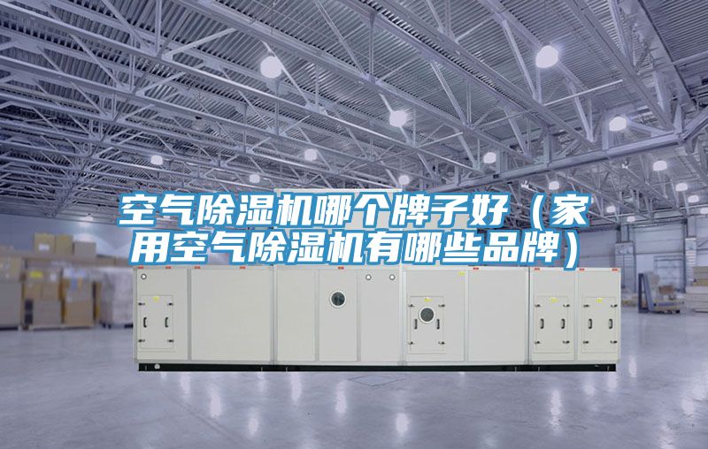 空气MR.好色破解版哪个牌子好（家用空气MR.好色破解版有哪些品牌）