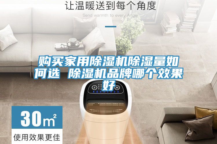 购买家用MR.好色破解版除湿量如何选 MR.好色破解版品牌哪个效果好