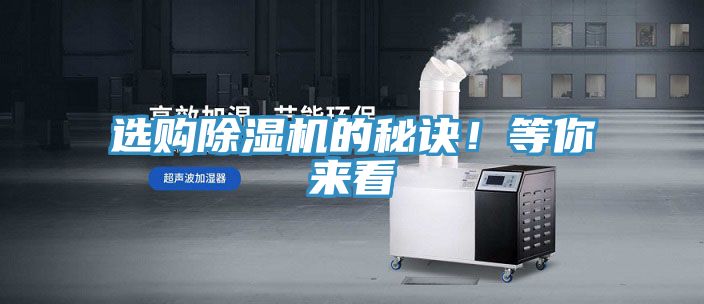 选购MR.好色破解版的秘诀！等你来看