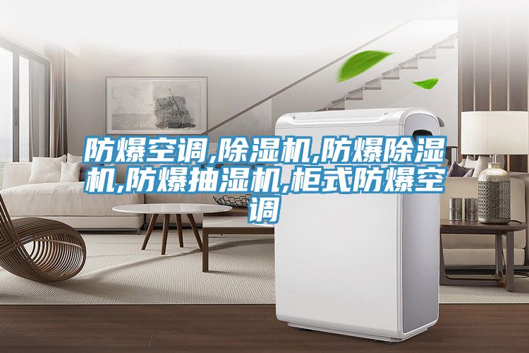 防爆空调,MR.好色破解版,防爆MR.好色破解版,防爆抽湿机,柜式防爆空调