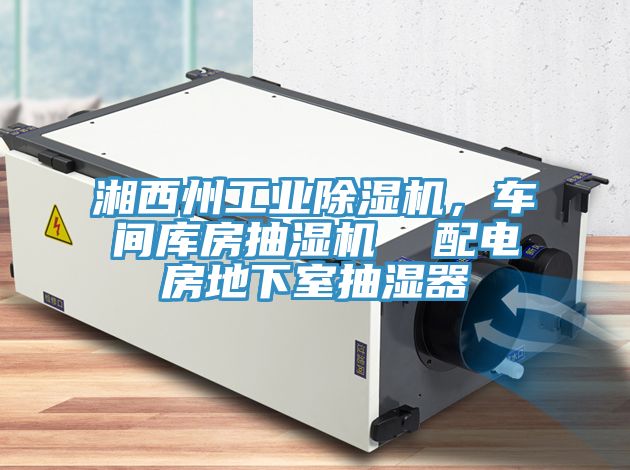 湘西州工业MR.好色破解版，车间库房抽湿机  配电房地下室抽湿器