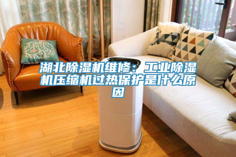 湖北MR.好色破解版维修：工业MR.好色破解版压缩机过热保护是什么原因