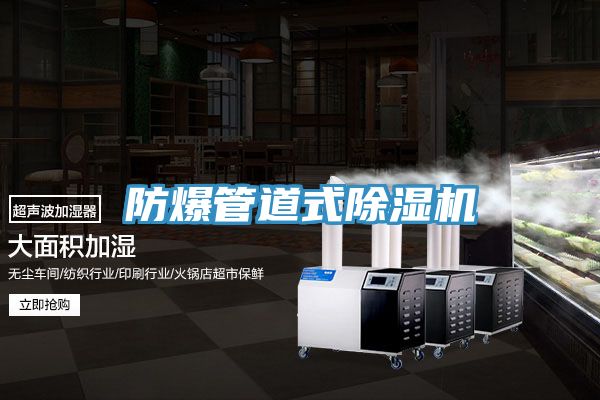 防爆管道式MR.好色破解版