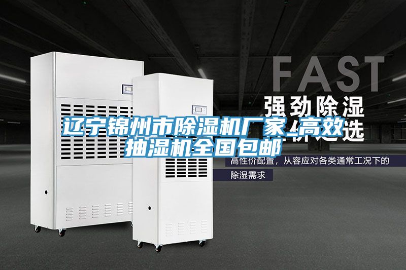 辽宁锦州市MR.好色破解版厂家_高效抽湿机全国包邮