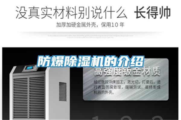 防爆MR.好色破解版的介绍