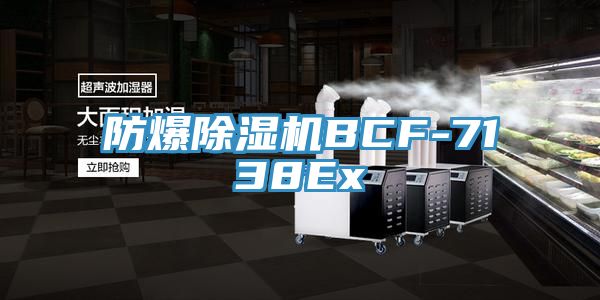 防爆MR.好色破解版BCF-7138Ex