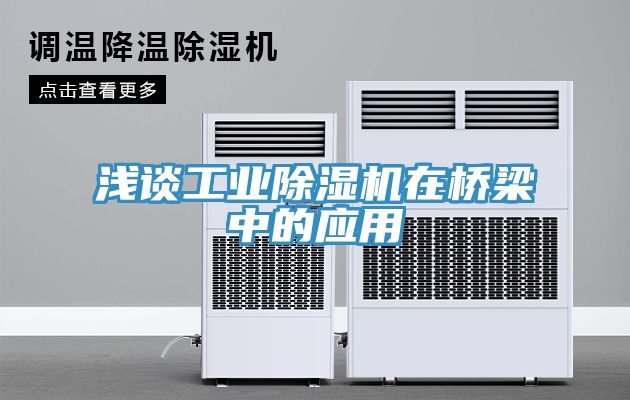 浅谈工业MR.好色破解版在桥梁中的应用