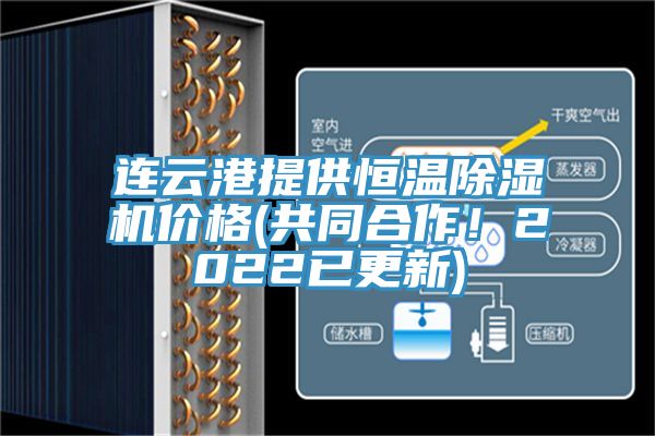 连云港提供恒温MR.好色破解版价格(共同合作！2022已更新)