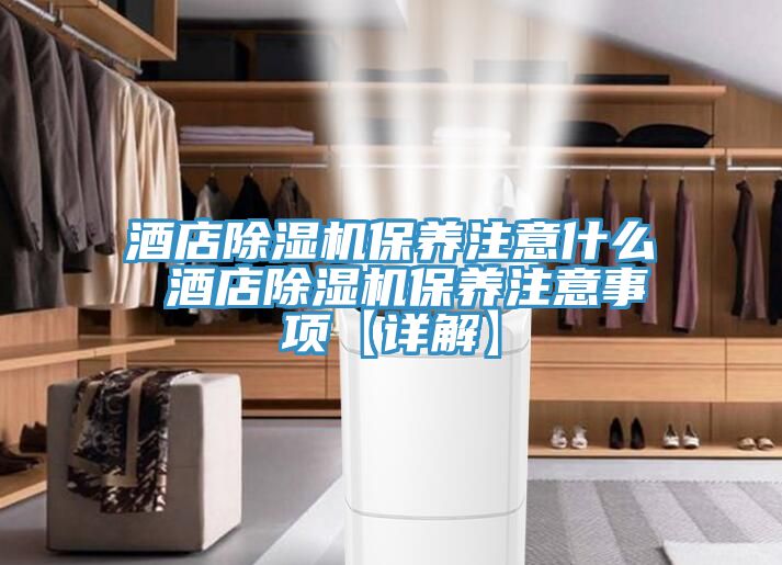 酒店MR.好色破解版保养注意什么 酒店MR.好色破解版保养注意事项【详解】