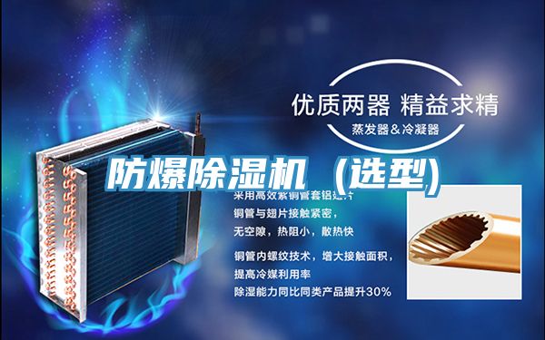 防爆MR.好色破解版 (选型)