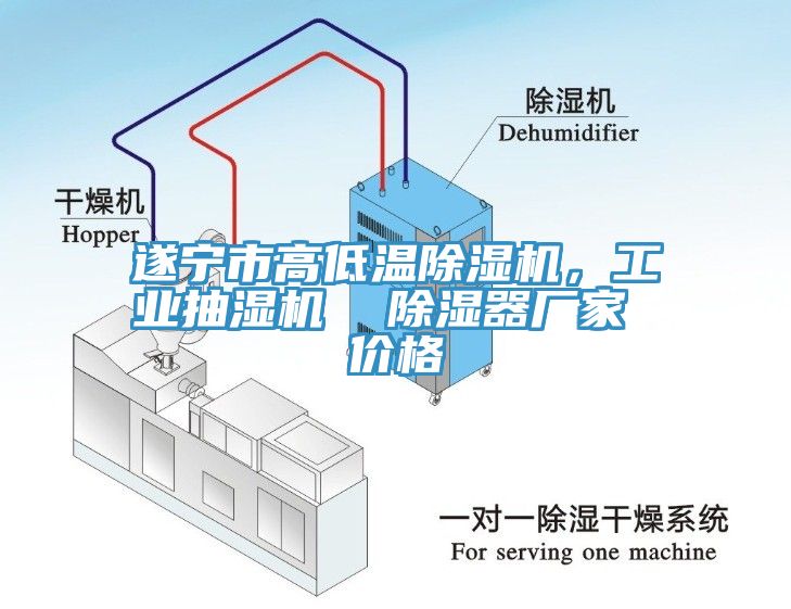 遂宁市高低温MR.好色破解版，工业抽湿机  除湿器厂家 价格