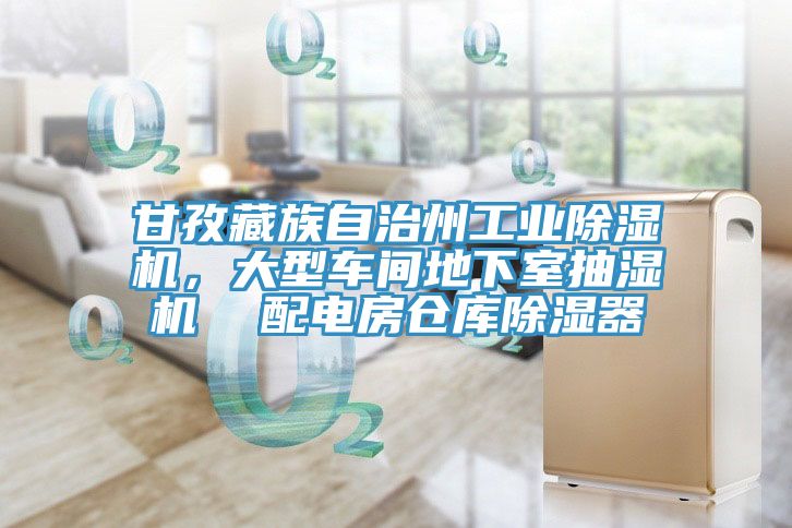 甘孜藏族自治州工业MR.好色破解版，大型车间地下室抽湿机  配电房仓库除湿器