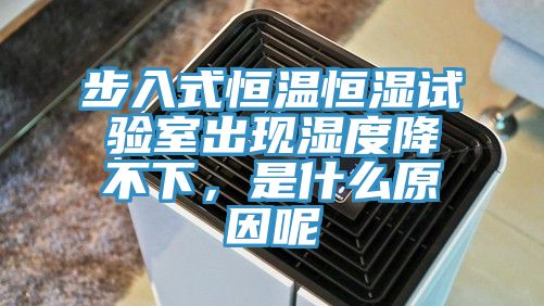 步入式恒温恒湿试验室出现湿度降不下，是什么原因呢