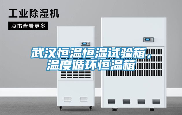 武汉恒温恒湿试验箱，温度循环恒温箱