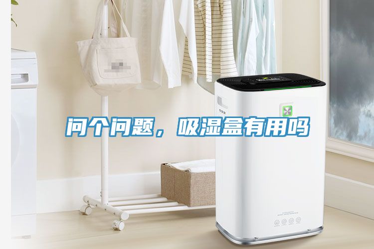 问个问题，吸湿盒有用吗