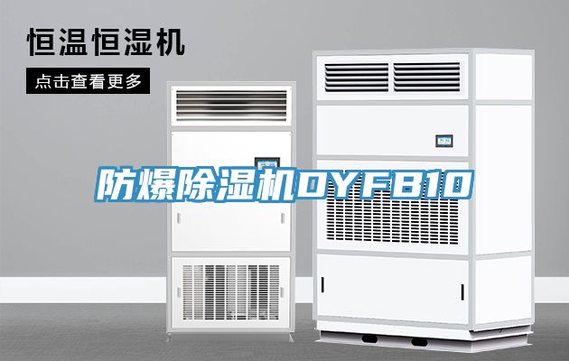 防爆MR.好色破解版DYFB10