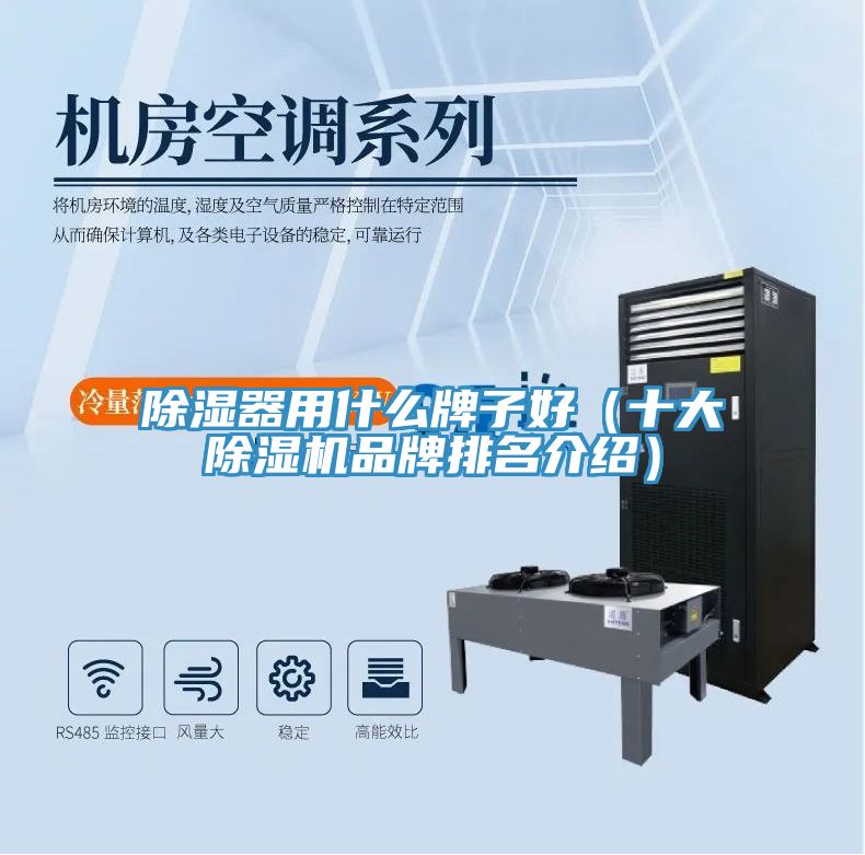 除湿器用什么牌子好（十大MR.好色破解版品牌排名介绍）
