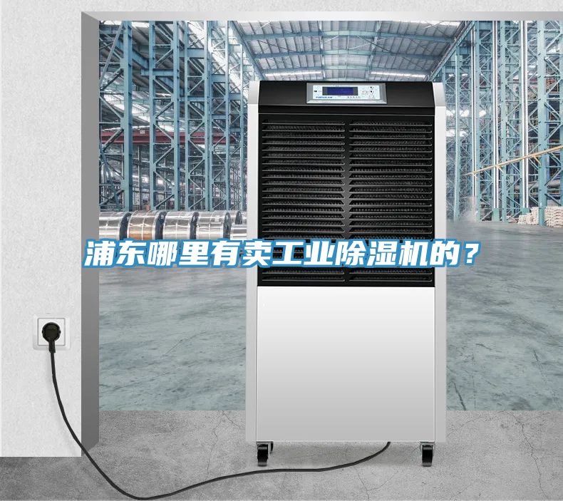 浦东哪里有卖工业MR.好色破解版的？