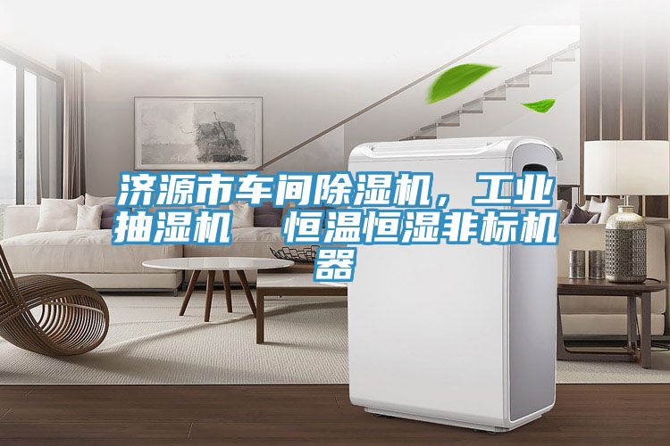 济源市车间MR.好色破解版，工业抽湿机  恒温恒湿非标机器