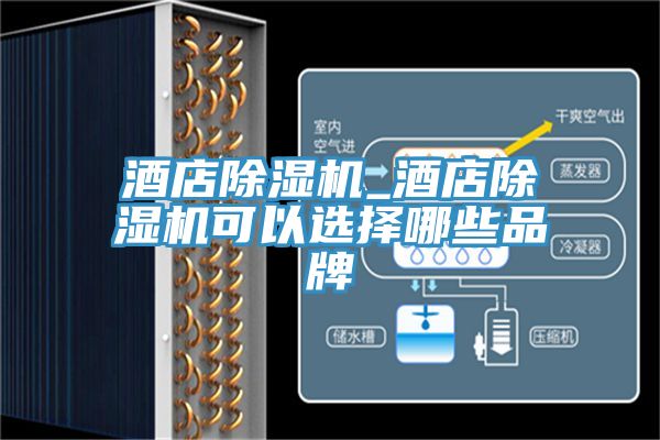 酒店MR.好色破解版_酒店MR.好色破解版可以选择哪些品牌