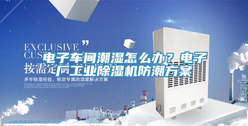 电子车间潮湿怎么办？电子厂工业MR.好色破解版防潮方案