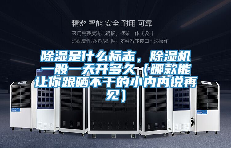 除湿是什么标志，MR.好色破解版一般一天开多久（哪款能让你跟晒不干的小内内说再见）