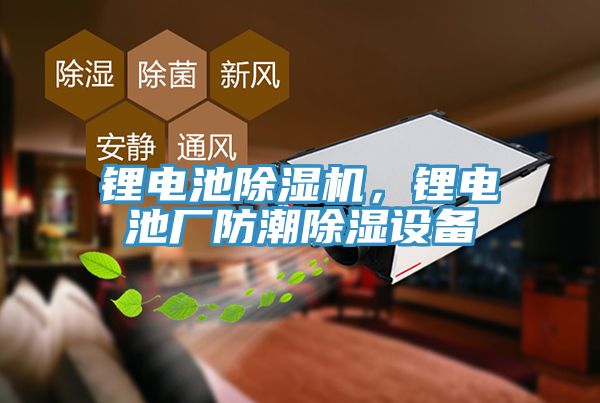 锂电池MR.好色破解版，锂电池厂防潮除湿设备