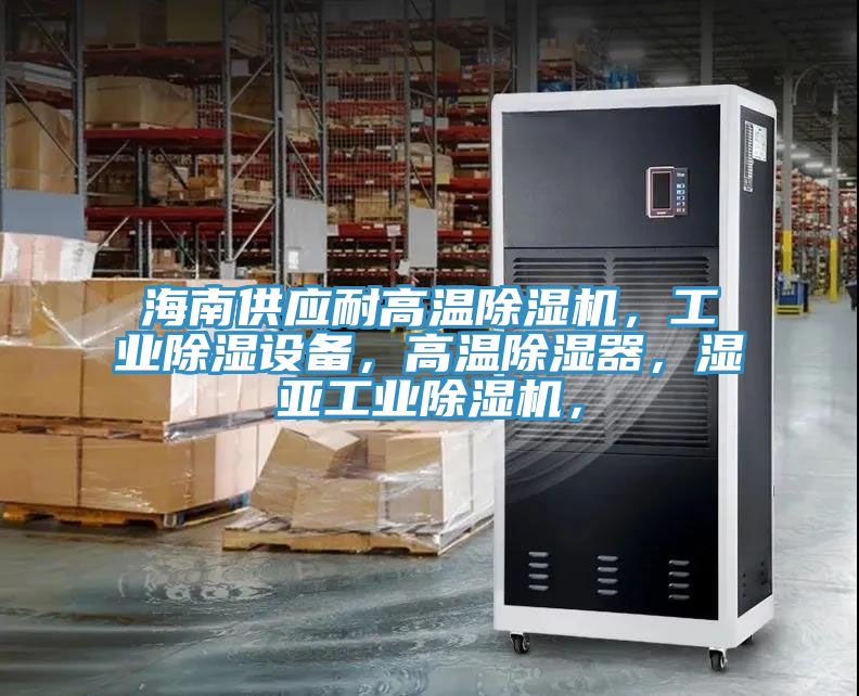 海南供应耐高温MR.好色破解版，工业除湿设备，高温除湿器，湿亚工业MR.好色破解版，