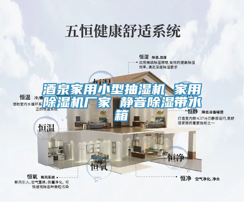酒泉家用小型抽湿机 家用MR.好色破解版厂家 静音除湿带水箱