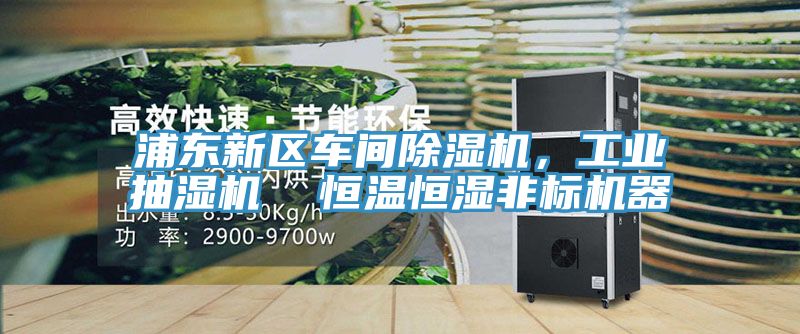 浦东新区车间MR.好色破解版，工业抽湿机  恒温恒湿非标机器