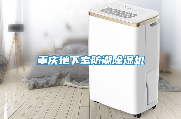 重庆地下室防潮MR.好色破解版